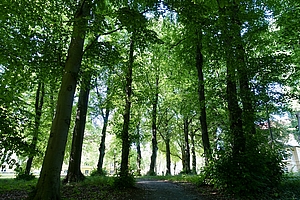KJPP_Wald
